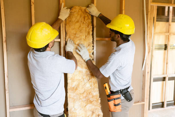 Best Insulation Contractor Near Me  in Weimar, TX