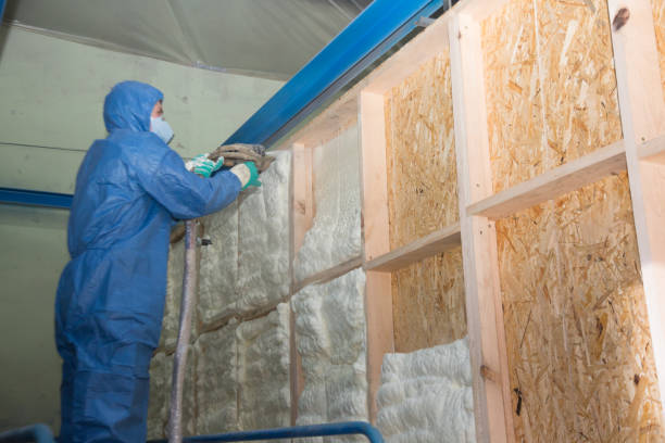 Best Residential Insulation Services  in Weimar, TX