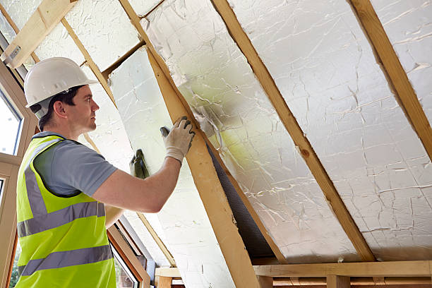 Best Insulation Replacement Services  in Weimar, TX